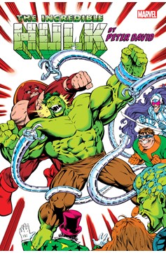 Incredible Hulk by Peter David Omnibus Hardcover Volume 3 Frank Hulk Vs Direct Market Edition