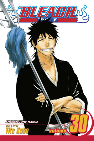 Bleach Manga Volume 30