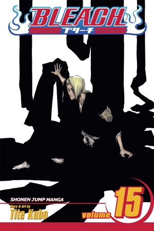 Bleach Manga Volume 15