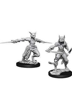 Dungeons & Dragons Nolzur`s Marvelous Unpainted Miniatures: Wave 9 Female Tabaxi Rogue