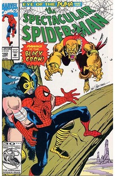 The Spectacular Spider-Man #192 [Direct]