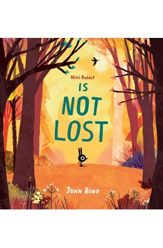 Mini Rabbit Is Not Lost (Hardcover Book)