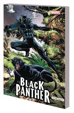 Black Panther Panthers Quest Graphic Novel