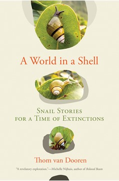 A World In A Shell (Hardcover Book)