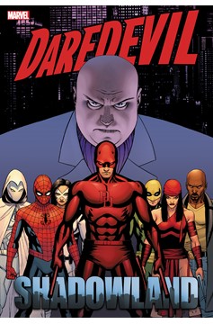 Daredevil Shadowland Omnibus Hardcover Volume 1 Cassaday Cover (2024 Printing)