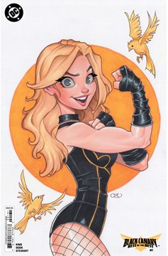 Black Canary Best of the Best #1 Cover D 1 for 25 Incentive Chrissie Zullo Card Stock Variant (Of 6)