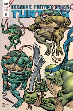 Teenage Mutant Ninja Turtles Ongoing #113 1 for 10 Incentive Lesniewski (2011)