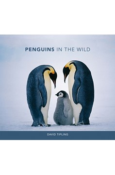 Penguins In The Wild (Hardcover Book)