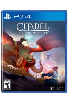 Playstation 4 Ps4 Citadel Forged With Fire