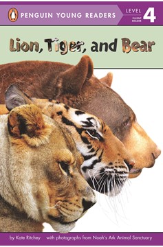 Lion, Tiger, And Bear (Paperback)