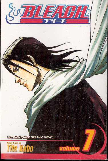 Bleach Manga Volume 7