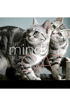 The Mind Of A Cat (Hardcover Book)