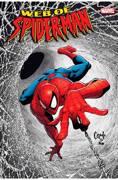 web-of-spider-man-1_79EAF7