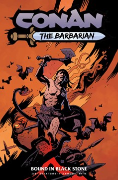 Conan The Barbarian Graphic Novel Volume 1 Direct Market Mignola Edition (Mature)
