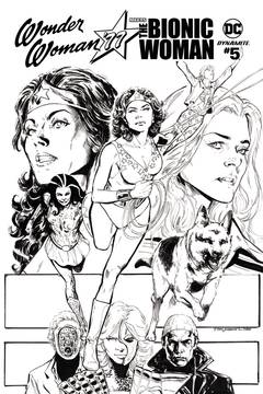 Wonder Woman 77 Bionic Woman #5 Cover D 1 for 25 Incentive