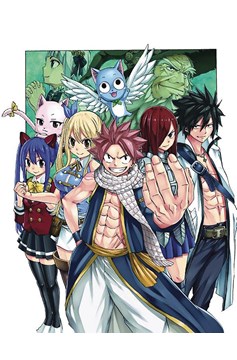 Fairy Tail 100 Years Quest Manga Volume 4
