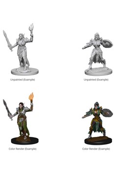 Pathfinder Unpainted Miniatures: Elf Female Fighter