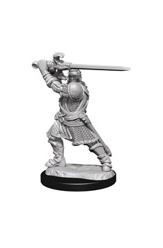 Dungeons & Dragons Nolzur`s Marvelous Unpainted Miniatures: Wave 14 Human Paladin Male