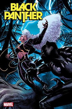 Black Panther #6 1 for 25 Incentive Coccolo Variant (2022)